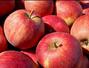 Sfaturi Mere - Dieta de 3 zile cu mere