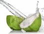 Sfaturi Zahar - Adevarul despre dieta cu apa de cocos – Slabesti sau nu?